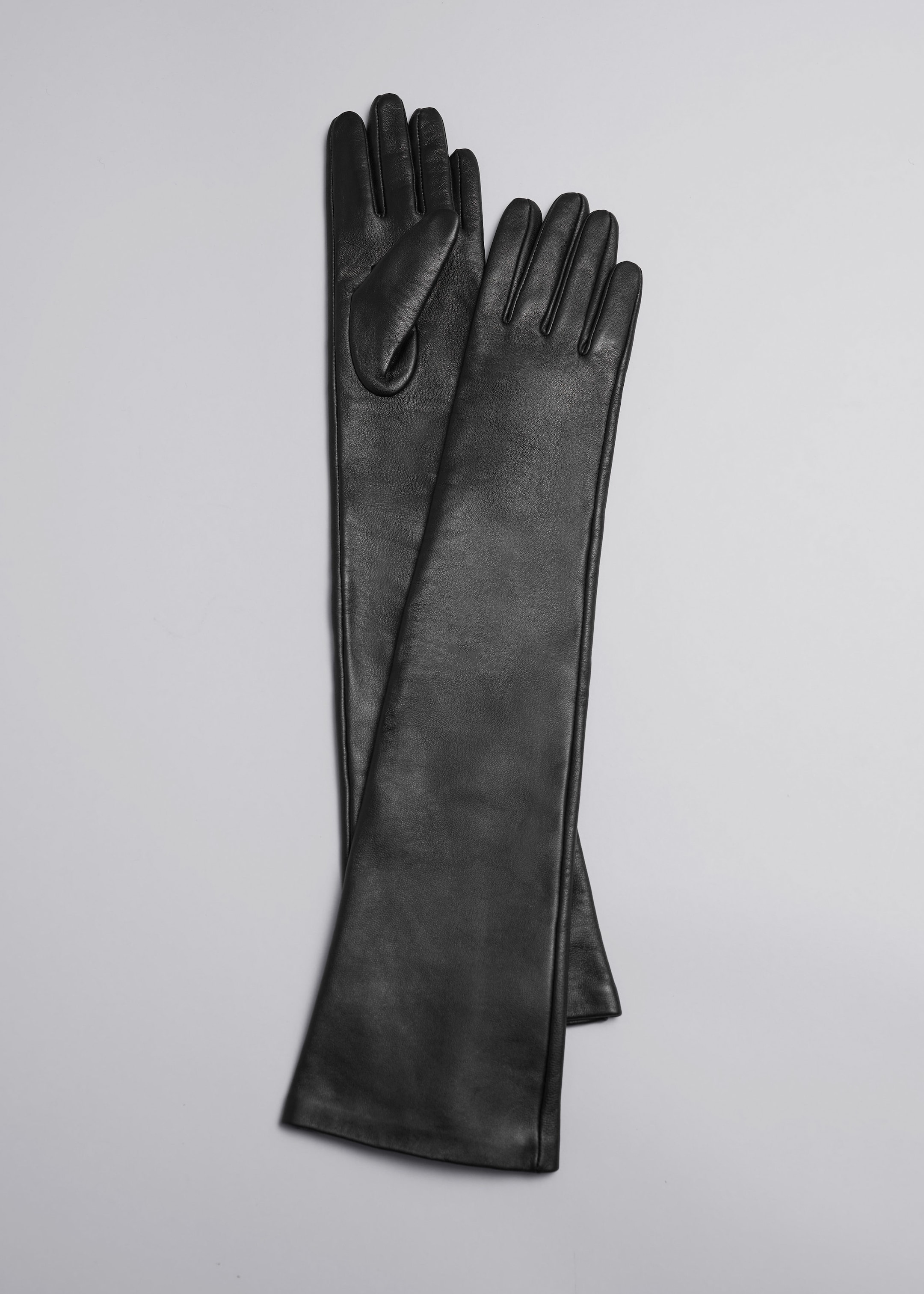 Image of Long Leather Gloves