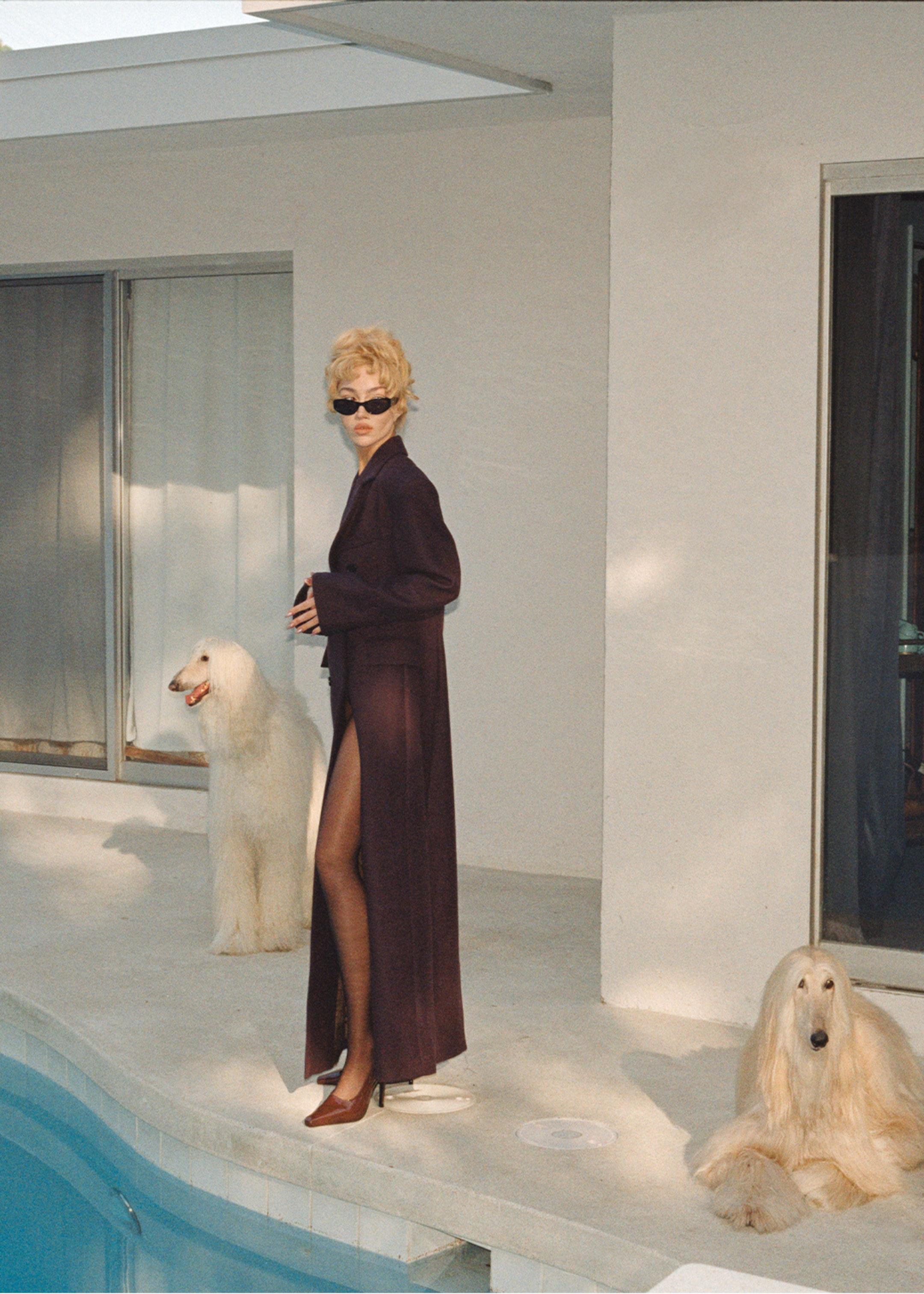 Woman in coat by the pool with two dogs